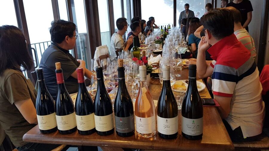 Mt. Etna Private Tour with Food and Wine Tasting - The Etna winery stop: estate tour, grapes, cellars, and a sommelier
