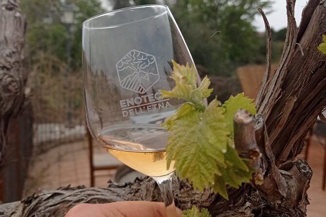 Mt. Etna trekking and Wine tasting - From Syracuse - Enoteca Dell’Etna: old millstone wine tasting with food sampling