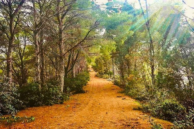 Naturalistic excursion to Ustica - Key highlights at a glance