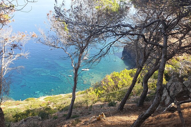 Naturalistic excursion to Ustica - The “hug the trees” moment and the plant-human connection