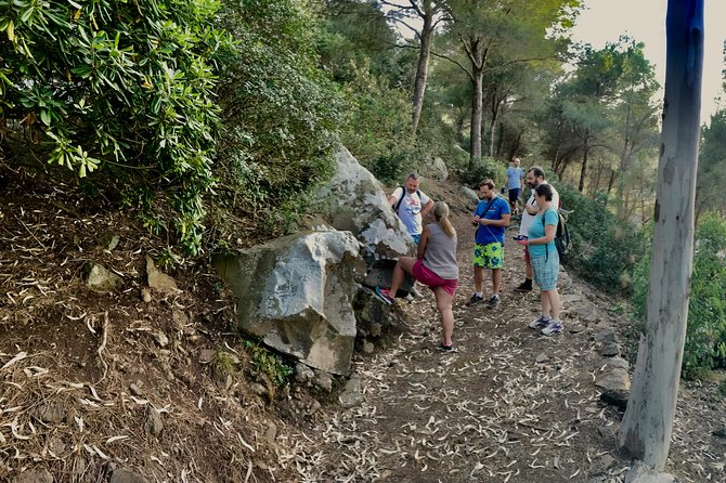 Naturalistic excursion to Ustica - Ending on the path of the sunset and trying for the green ray