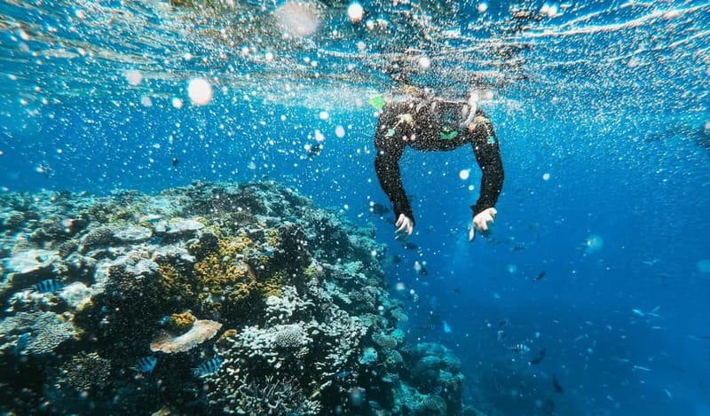 Naxos: Taormina Boat Tour with Snorkeling and Prosecco - Who This Tour Fits Best (and Who Should Rethink It)