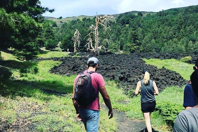 Off-road excursion - Who Should Book This Etna Off-Road and Cave Tour?