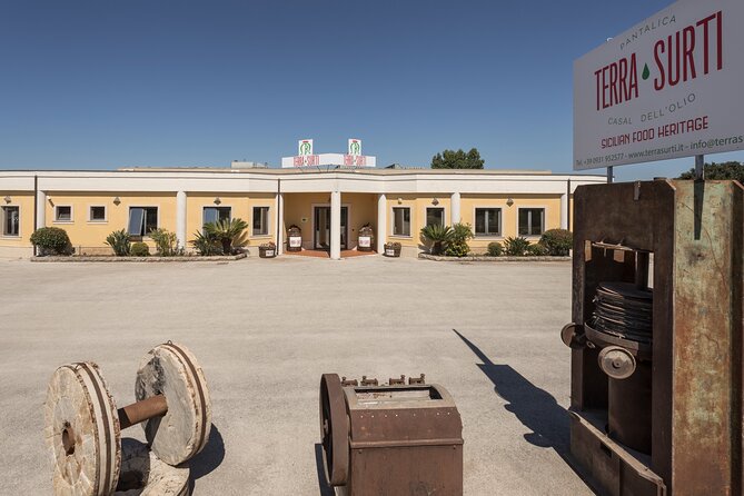 Olive harvest, visit to the oil mill and typical lunch - From Olives to Oil: Your Mill Visit and the Machinery You’ll See