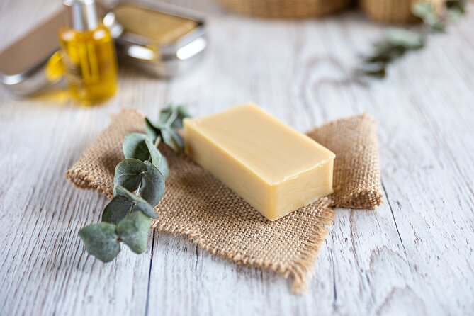 Olive harvest, visit to the oil mill and typical lunch - Price and Value: Is $120.41 Worth It?