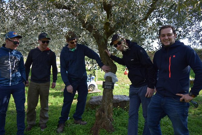 Olive Oil Experience - Price and value at $266.06 per person