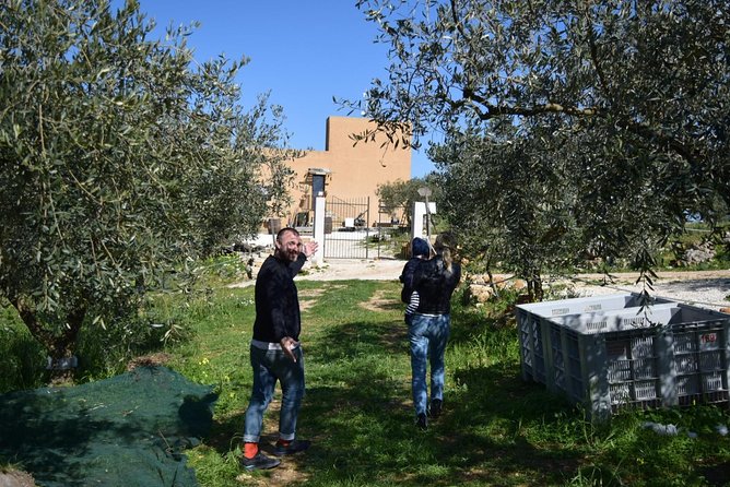Olive Oil Experience - Small-group feel with a private setup