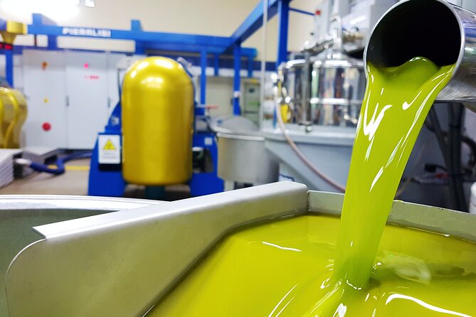 Olive Oil Tasting & Historic Olive Mill Tour in Ragusa area - Touring the olive mill rooms: what you’re actually looking for