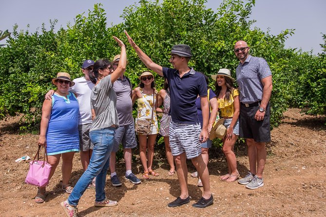 Olive oil tasting in Syracuse, Sicily - Evoo Tour - The four-variety EVOO tasting: how to compare without overthinking