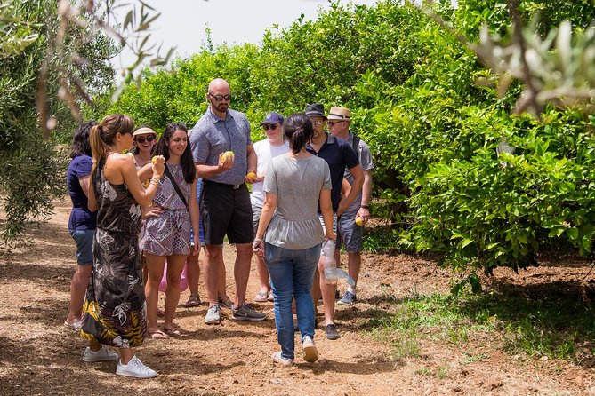 Olive oil tasting in Syracuse, Sicily - Evoo Tour - What the Sicilian bites add (and what you still need to plan)
