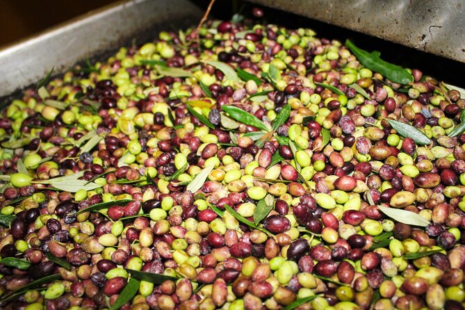 Olive Oil Tasting & Private Chef with Lunch - Value for $71.35: Why the Price Makes Sense (If You Eat Like a Human)