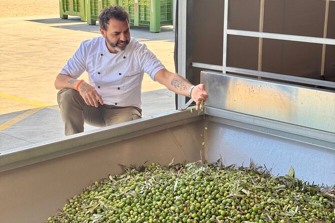 Olive Oil Tasting & Private Chef with Lunch - Group Size, Private Transportation, and the Pace You’ll Feel