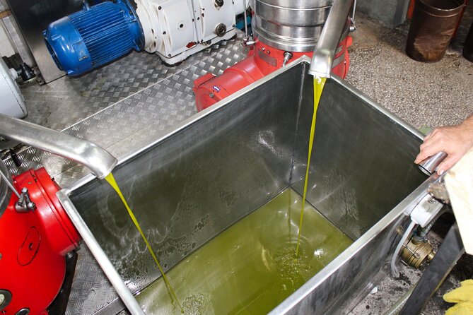 Olive Oil Tasting & Private Chef with Lunch - Inside the Traditional Olive Oil Mill: From Olives to Bottle