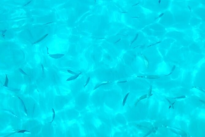 One and a half hour boat excursion to Scala Dei Turchi - Price and value: why $48.19 works for a short sea day