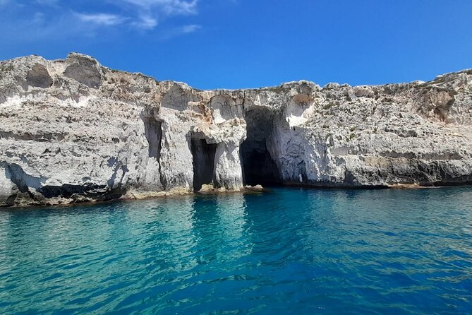 Ortigia-blue cave island tour with dolphin sighting - Syracuse sea caves: where the coastline gets weird (in the best way)