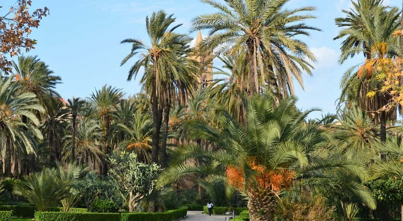 Palermo: Art and Architecture Walking Tour - Small-Group Palermo: Why This Feels Easier Than Big Buses