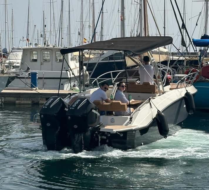 Palermo: boat tour with drinks and fresh fruit on board - Sailing Out of Palermo: meeting point and start-up reality