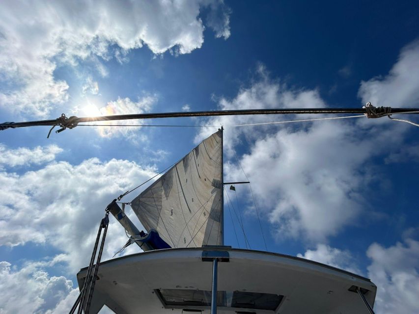 Palermo: Full-Day Snorkeling Boat Tour with Lunch and Wine - Key things that make this tour worth your time