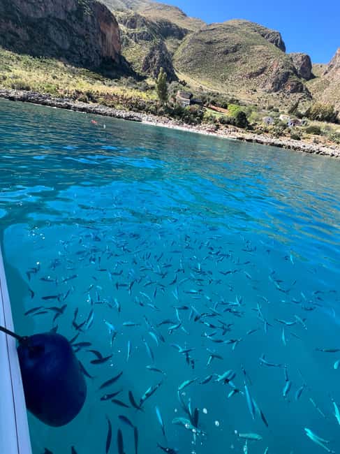 Palermo: Mondello Boat Tour and Nature Reserve with Snacks and Drinks - Grotta Regina: The Cave Swim and the Aperitif Moment