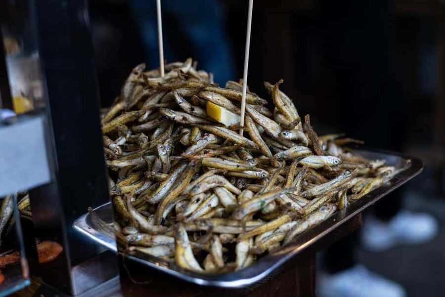 Palermo: street food walking tour - Practical Tips Before You Go (So Your Market Time Goes Smoothly)