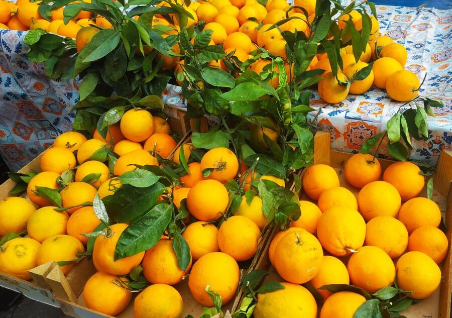 Palermo: Street Food Walking Tour with Local Guide & Tasting - The Walk Past Teatro Massimo, the Cathedral, and Quattro Canti