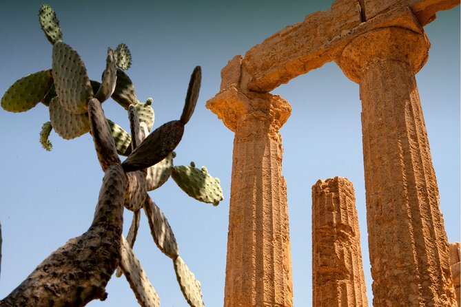 Palermo to Siracusa: stop at Valley of Temples & Roman Villa - Value for your money: two UNESCO stops plus transport