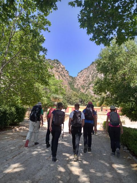 Palermo: Treasures of Monte Pellegrino - The Hike at a Glance: 10km, 500m, and Real Trail Footing