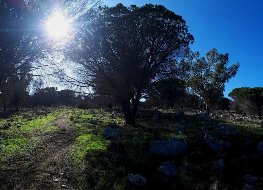 Palermo: Treasures of Monte Pellegrino - The Upper Mountaintop Walk: Viewpoints That Actually Pay Off