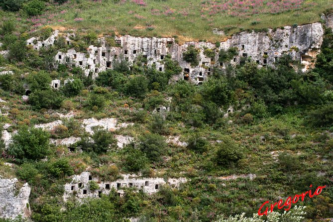 Pantalica nature history and archeology - Nature Walk: Iblea Endemic Flora, Orchids, and Mediterranean Scrub