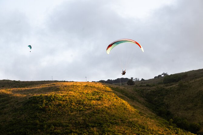 Paragliding flight in Palermo - Key highlights to know before you go