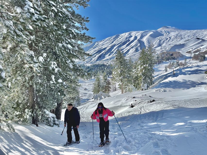 Piano Provenzana: Guided Mt. Etna Snowshoeing Trek - Key things to look forward to