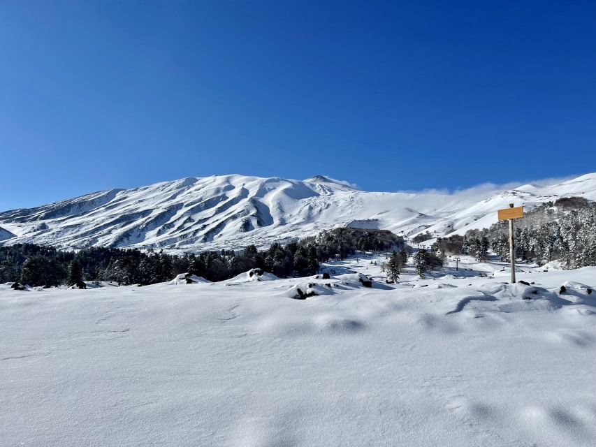 Piano Provenzana: Guided Mt. Etna Snowshoeing Trek - Who should book this Etna snowshoe trek