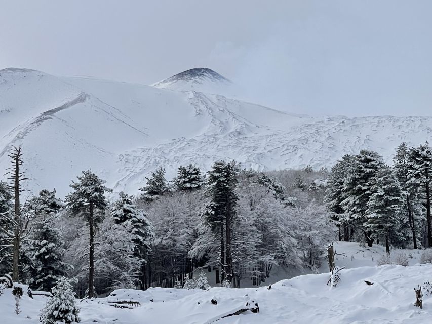 Piano Provenzana: Guided Mt. Etna Snowshoeing Trek - Reading the volcano: lava flows, fractures, and craters