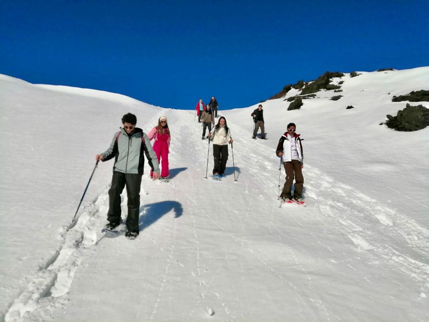 Piano Provenzana: Guided Mt. Etna Snowshoeing Trek - Price value: what $44 buys and what to budget for