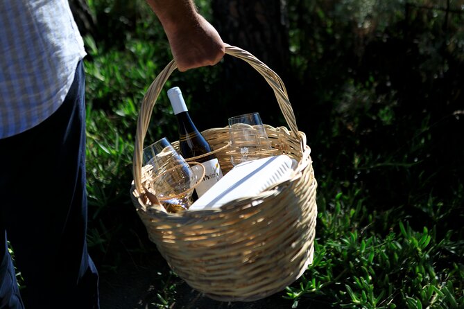 Pic-nic in the vineyard - Where the sea view starts at Castellaro