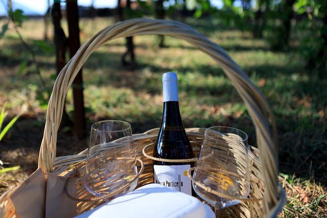 Pic-nic in the vineyard - How the 2-hour flow works at a relaxed, scenic pace