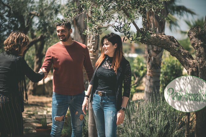 Picnic on the lawn -aromatic garden and winery - The wine cellar stop: taste with a sense of process
