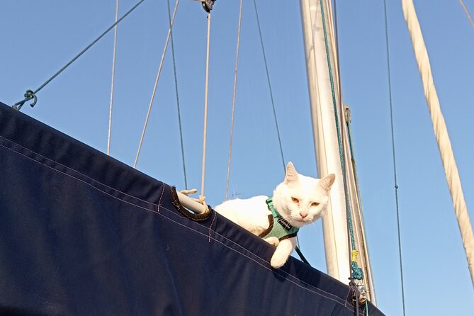 Plemmirio Sailing Tour from Ortigia with Snorkeling - The sailboat rhythm: what 2 hours 30 minutes really feels like