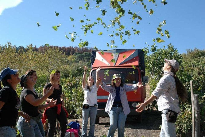 Private 6-Hour Tour of Three Etna Wineries with food&wine tasting - Stop One: Etna DOC Wines With Bread, Olives, and Sun-Dried Tomato Bites