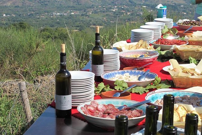 Private 6-Hour Tour of Three Etna Wineries with food&wine tasting - Stop Three: A Final Reds-and-Whites Round With Local Cheeses and Olive Oil