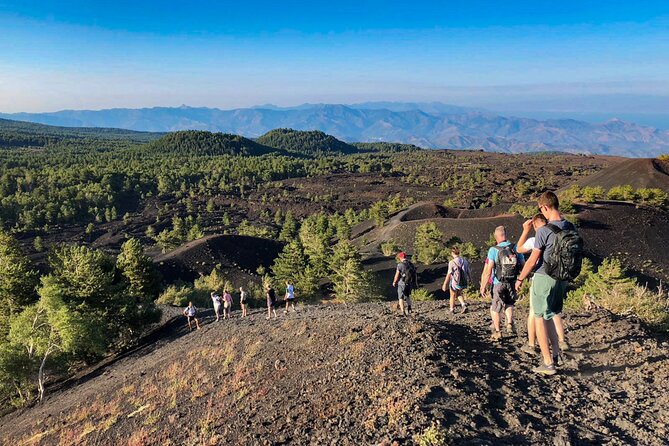 Private and Guided Tour on Etna with Wine Tasting included - Valle del Bove: Caldera Drama in Just 30 Minutes