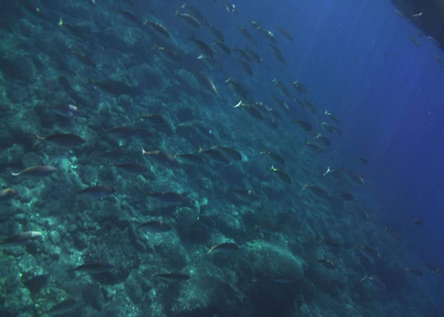 Private Boat Tour Isola Bella Taormina Giardini Naxos - Blue Grotto: a short guided look that keeps the pace