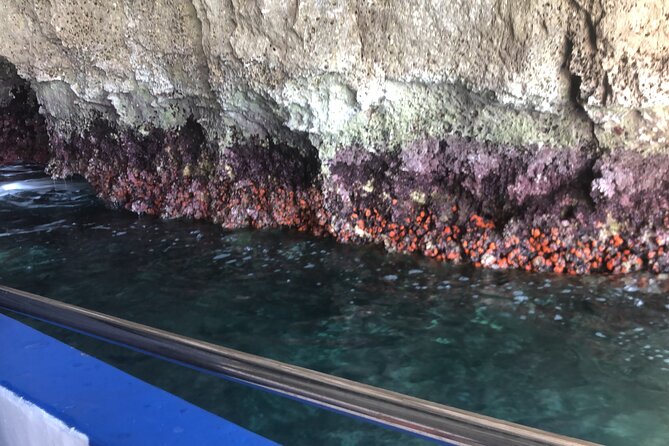 Private boat tour with prosecco and fresh fruit - Outside Arethusa: the view without the crowds