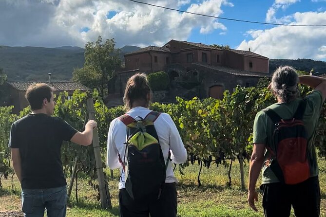 Private Etna Tour and 200 Years Old Winery Visit with Lunch - After lunch: the vineyard walk that turns tastings into understanding