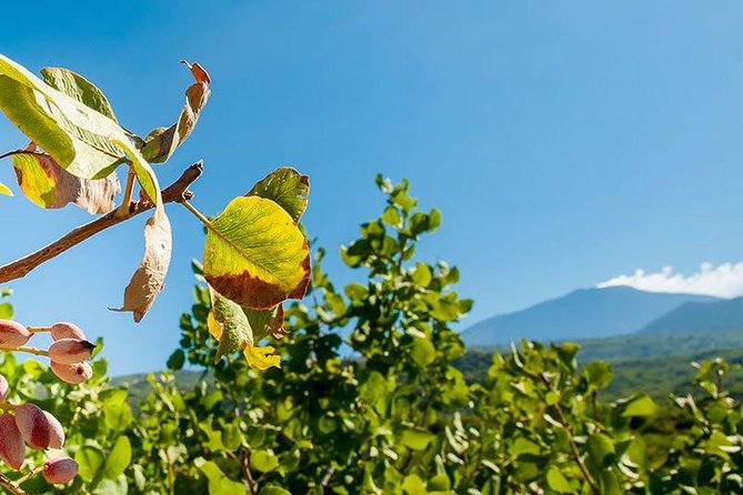 Private Etna tour and pistachio lunch in a pistachio farm - Mt. Etna craters, lava flows, and caves: the guided safety factor