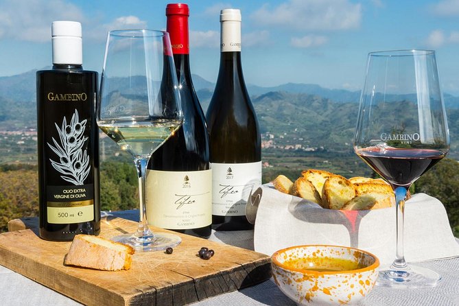 Private Etna tour from Messina Cruise Terminal+ Lunch at Winery - Reaching Around 2,000 Meters: Craters, Moonlike Terrain, and Guided Views