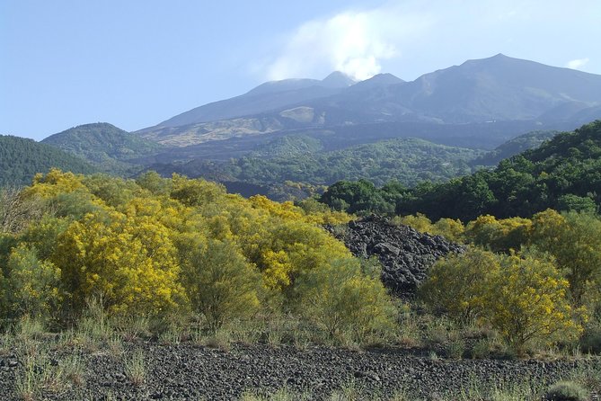 Private Etna tour from Messina Cruise Terminal+ Lunch at Winery - Value for the Price: Why €/$316.26 Can Make Sense Here