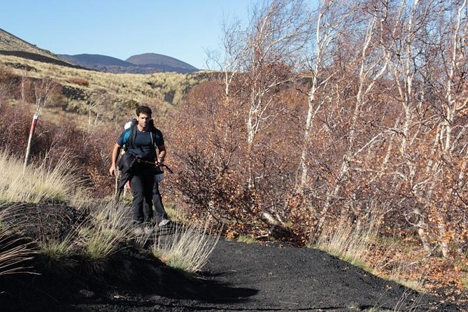 Private Etna Trekking half day tour from Taormina - Who this Etna trekking tour is best for