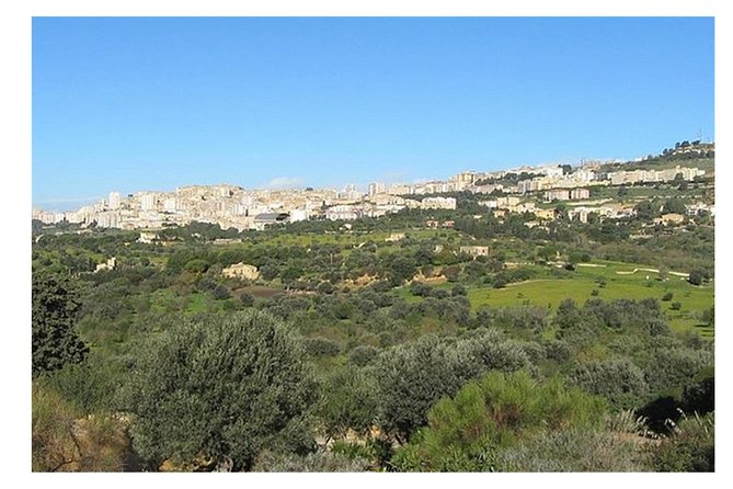 Private Full-Day Tour of Agrigento and Piazza Armerina - Choosing your pace at Agrigento: free time beats a rushed script