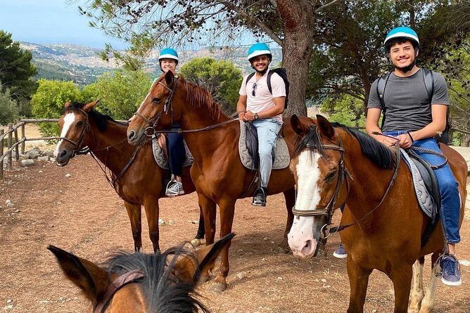 Private Horse Ride Adventure in Modica with Instructor - A different side of Modica: horses plus Sicilian nature